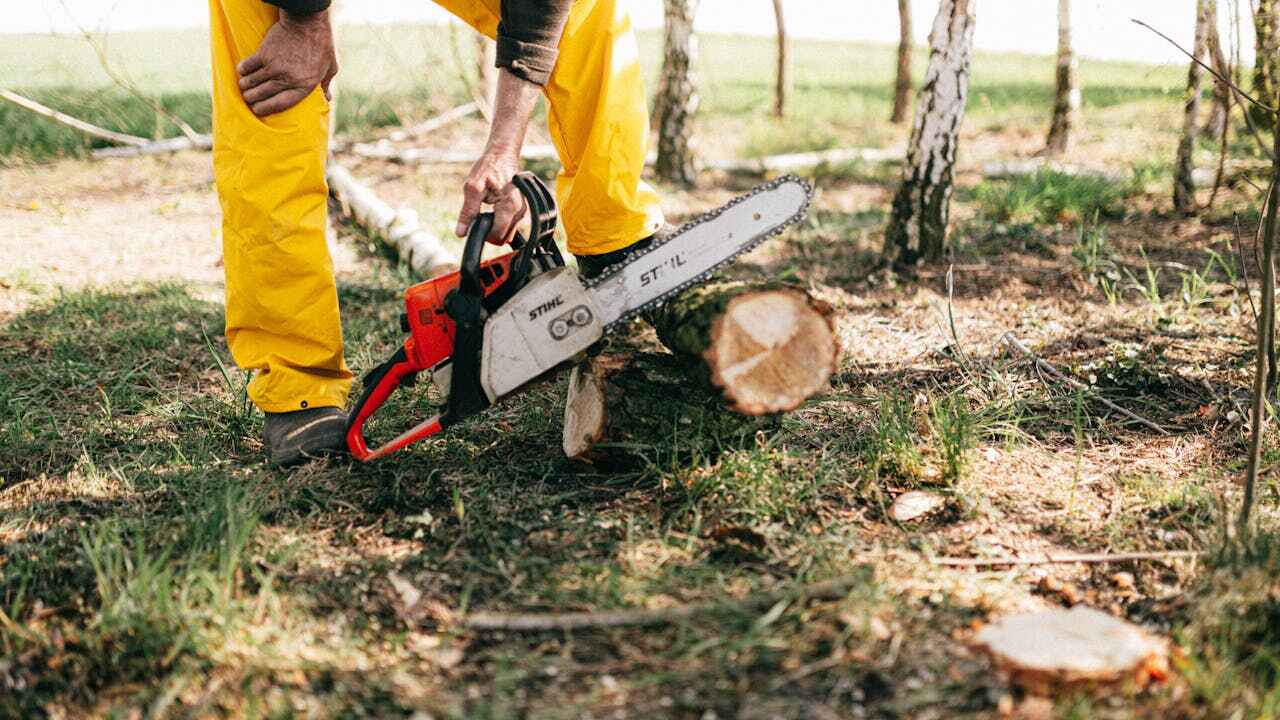 Tree Branch Trimming in Baxley, GA